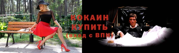 тгк Новозыбков