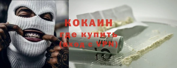 тгк Новозыбков