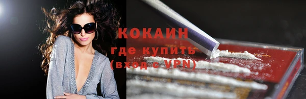 тгк Новозыбков
