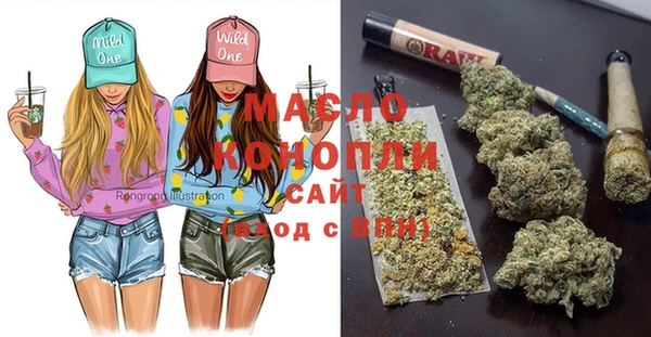 тгк Новозыбков