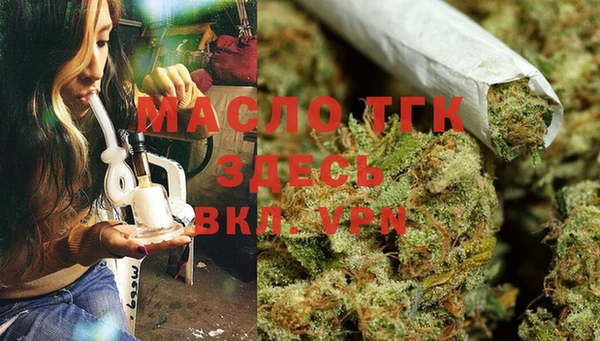 тгк Новозыбков