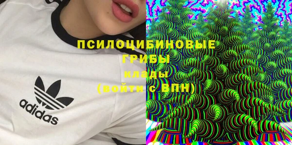 2c-b Новокубанск